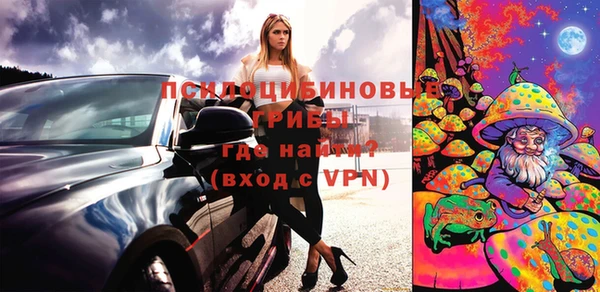 эйфоретик Вяземский