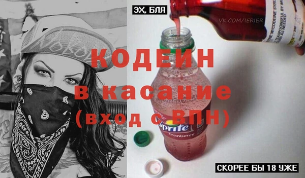 эйфоретик Вяземский