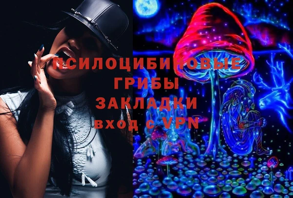 альфа пвп Горнозаводск